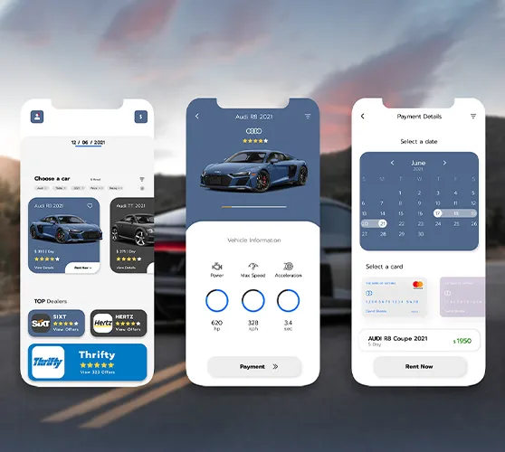 screens screenshots of a car payment
